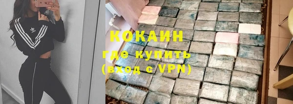 ешки Арсеньев