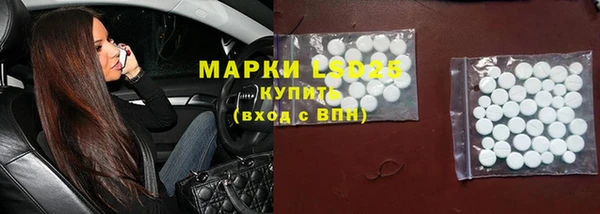 ПСИЛОЦИБИНОВЫЕ ГРИБЫ Аркадак