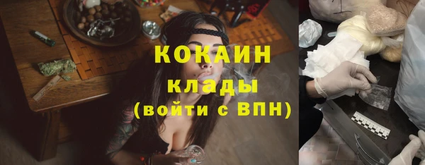 ПСИЛОЦИБИНОВЫЕ ГРИБЫ Аркадак