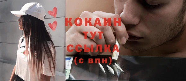 ешки Арсеньев